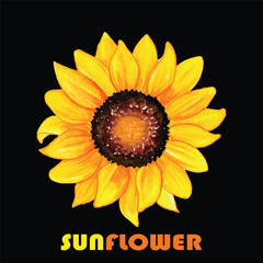 sunflower illustration on a solid black background