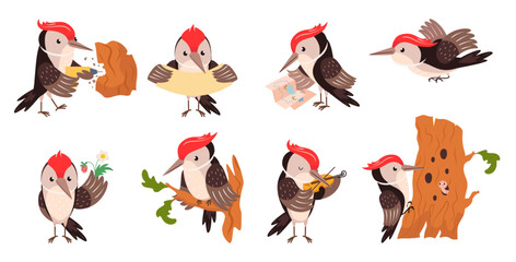 Obraz premium Funny woodpeckers. Cartoon woodpecker different poses. Adorable forest bird on tree, flying, holding banner, play music. Nowaday vector clipart
