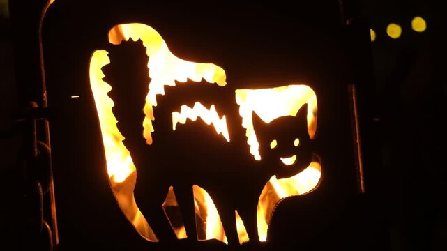 Fiery Silhouette of a Cat with a Smiling Face Glowing in the Dark Slow Motion