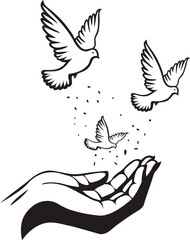Doves Flying From Hand