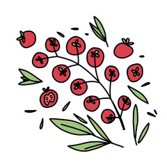 Juicy raw cherry tomatoes on a branch among herbs, sage, tarragon