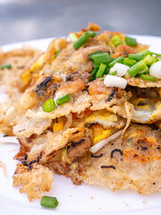 Crispy Thai Oyster Omelette (Hoi Tod) served with fresh bean sprouts and spring onions on a white plate