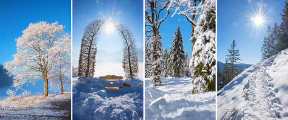 composition of four wintry landscapes