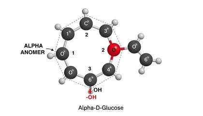 Alpha D Glucose Molecular Model With OH Group and Oxygen Atom In A Ring Structure With White Background And Clear Labeling