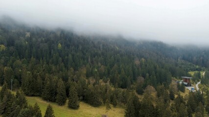 Idyllic rural scene with houses, road, and river