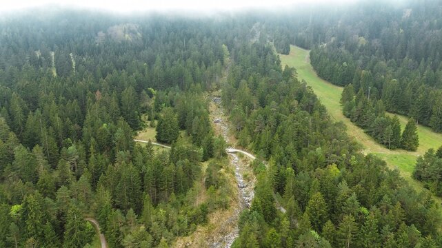 Peaceful countryside town near forest hills - Powered by Adobe