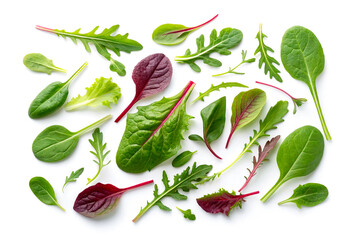 Creative flat lay pattern of fresh mixed green salad leaves isolated on a white background. Assortment of baby spinach, arugula, and chard vegetable layout.