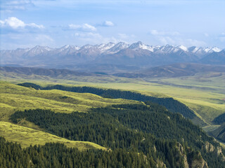 Obraz premium Forests and Grasslands at the Foot of the Qilian Mountains