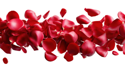 Crimson Cascade: A dynamic display of cascading, velvety crimson rose petals, captured mid-air, creating a vibrant and romantic visual.
