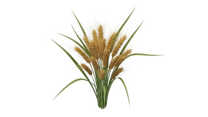 Fototapeta premium Wheat Stalks Bunch Isolated White