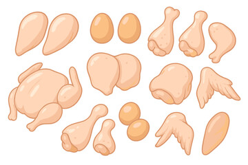 Raw chicken meat cuts set including whole bird, breasts, wings, drumsticks, and eggs