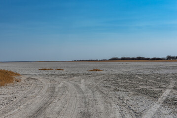 Salt pan of Nxai Pan National Park, Botswana