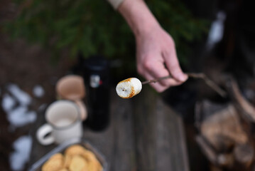 roasted marshmallow on a stick