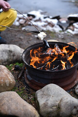 Roasting marshmallows in the backyard. Family fun