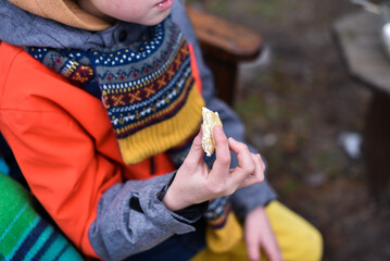 Boy holding roasted marshmallow with cookies in his hands