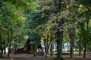Visitors enjoy the peaceful atmosphere near Basilique Notre-Dame-de-Buglose in Saint-Vincent-de-Paul, Landes. Lush trees and fallen leaves create a calming environment for relaxation.