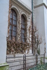 anezsky klaster historical monument monastery in prague
