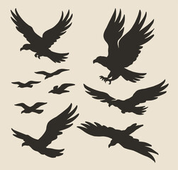 Fototapeta premium Birds at sunset