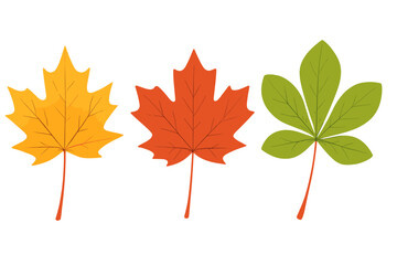 Set of colorful autumn foliage elements including maple leaf shapes isolated