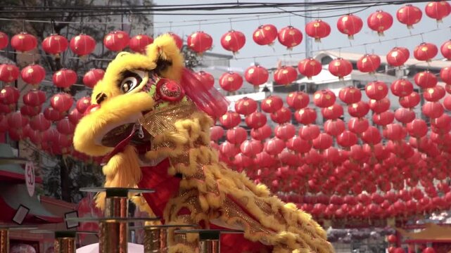 Chinese lion dance performing, Slow motion.