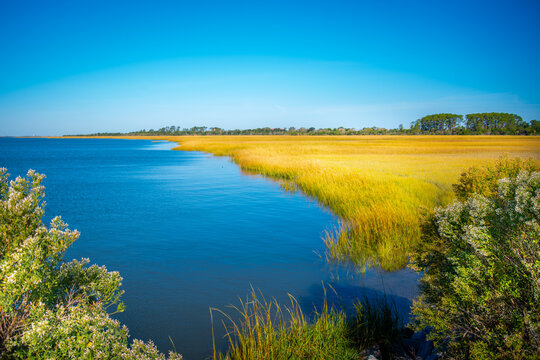 Calm tidal water curves through a coastal marsh, bordered by golden grasses and green shrubs under clear blue skies, showing the quiet, open landscape and natural textures of Georgia&rsquo;s inland coast.