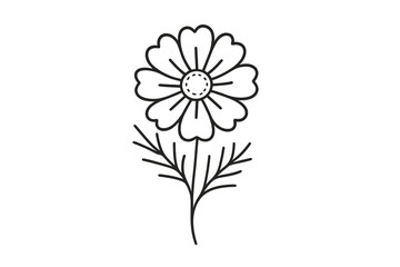 Elegant black outline of a blooming cosmos flower head and slender stem