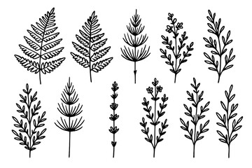 Naklejka premium Hand drawn botanical elements set including ferns, branches, and leafy foliage