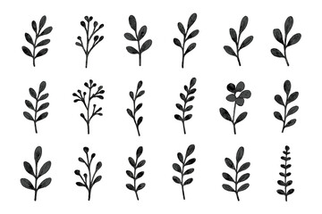 Simple hand drawn botanical elements and branches for rustic decoration