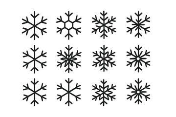Collection of twelve black and white stylized snowflake icons and symbols