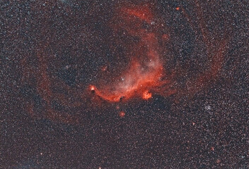The vast, glowing Seagull Nebula (IC 2177), an H II emission region where new stars form. Its expansive, deep red clouds of ionized hydrogen gas resemble a large bird in flight