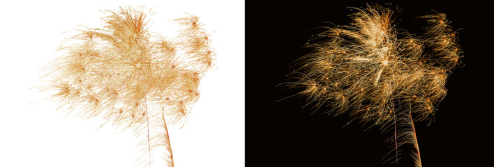 Świąteczne fajerwerki na przezroczystym tle. Sylwester. Nowy rok.