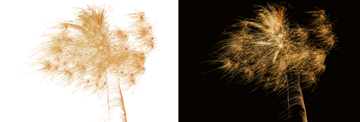 Świąteczne fajerwerki na przezroczystym tle. Sylwester. Nowy rok.