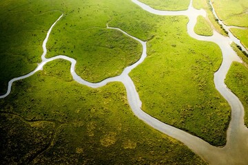 Aerial view of meandering waterways carve through vibrant green marshland, creating a tapestry of nature's artistry from a high vantage point, Eastbourne, England, United Kingdom.