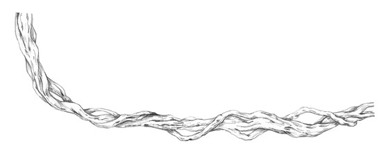 A twisting tree trunk entangled with vines. Isolated pencil illustration for wallpaper, poster printing, eco-projects, nature reserve websites, and restaurant and hotel interior design.