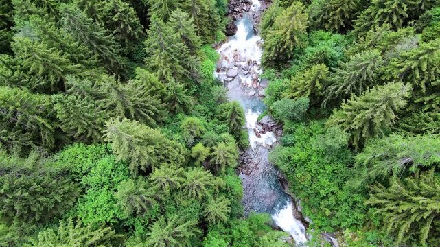 Aerial drone travel in top down view above V&ograve; Waterfall in Val di Scalve, Italian Dolomites and Alpi Orobie, surrounded by lush alpine pine forests and dense mountain vegetation