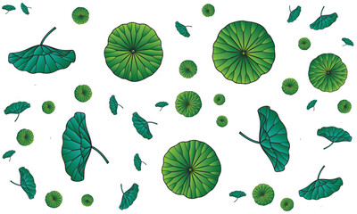 Beautiful Green Lotus Leaves pattern for summer decoration and design
