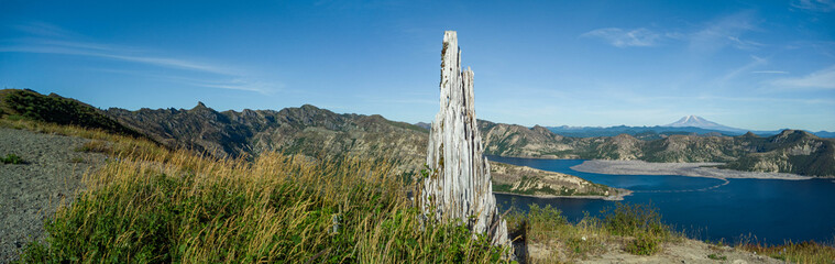 Aerial view of stark white tree stump stands sentinel over Spirit Lake with Mount St. Helens looming in the distance, The Dalles, Oregon, United States.