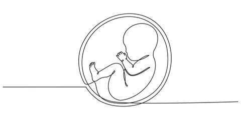 Baby embryo in womb one line drawing. Cute unborn fetus baby on mother womb isolated on white background, Baby embryo in womb in one continuous line drawing. Healthy pregnancy and premature symbol