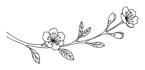 Obraz premium Delicate line drawing of a blooming cherry blossom branch with buds and leaves, perfect for spring themed websites and organic product branding