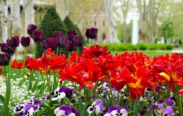 City park with colorful flowers and fountain and green grass, Zagreb, Croatia