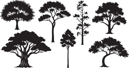 Fototapeta premium Collection of diverse tree silhouettes vector set