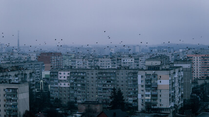 Fototapeta premium Flock of birds flying over a dense cityscape of Soviet-era apartment buildings