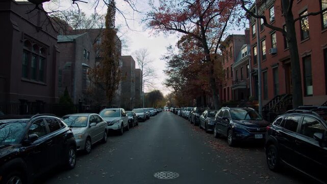 Street scene, revealing autumn landscape through six distinct visual styles with nuanced tonal variations, New York, 10.20.2024