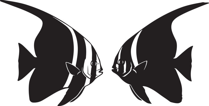 Two black batfish silhouettes facing each other on a white background