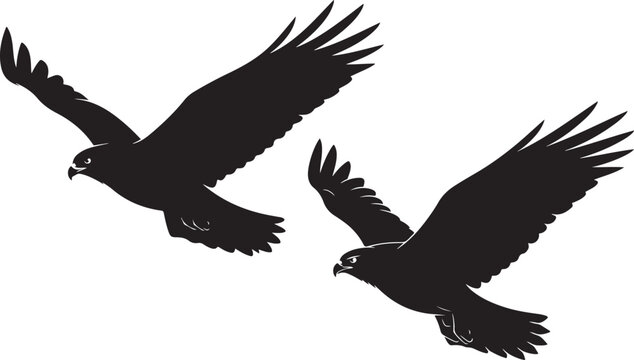 Black silhouette illustration of two hawks or eagles soaring through the air