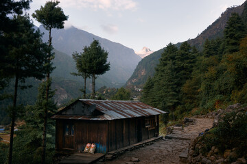 Mountain landscape with a simple wooden house and tall trees during late afternoon in the countryside