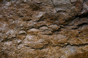 Close view of a rock surface reveals lines and patterns in the stone. Sunlight highlights the textures and colors of the natural material. This setting shows a piece of nature