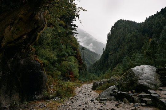A group of hikers navigates a rocky trail that runs through tall trees and steep mountains. Clouds cover the peaks, creating a misty landscape in Nepal's wilderness