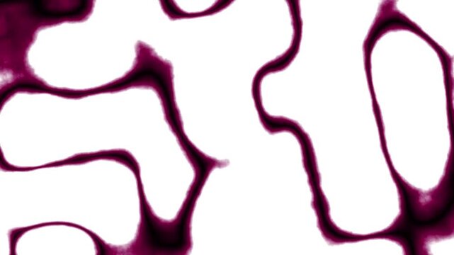 motion red nail polish on white. motion red line whirl background. move video 