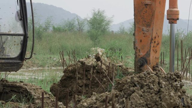Digging for the Wild - Uncovering the Untamed with a JCB Crane